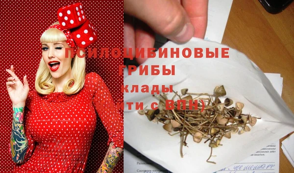 кристаллы Бородино