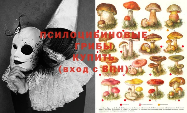 MDMA Бугульма