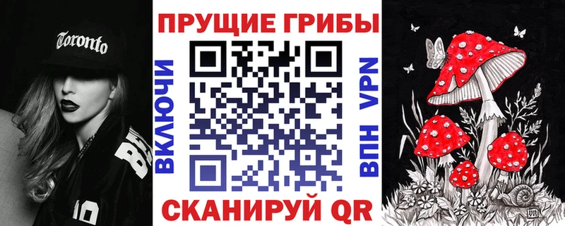 дарнет шоп  Нерчинск  Псилоцибиновые грибы Cubensis 
